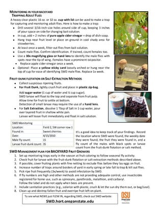 Swd Adult Insect Identification Spotted Wing Drosophila for backyard fruit growers Laurel Moulton | PDF