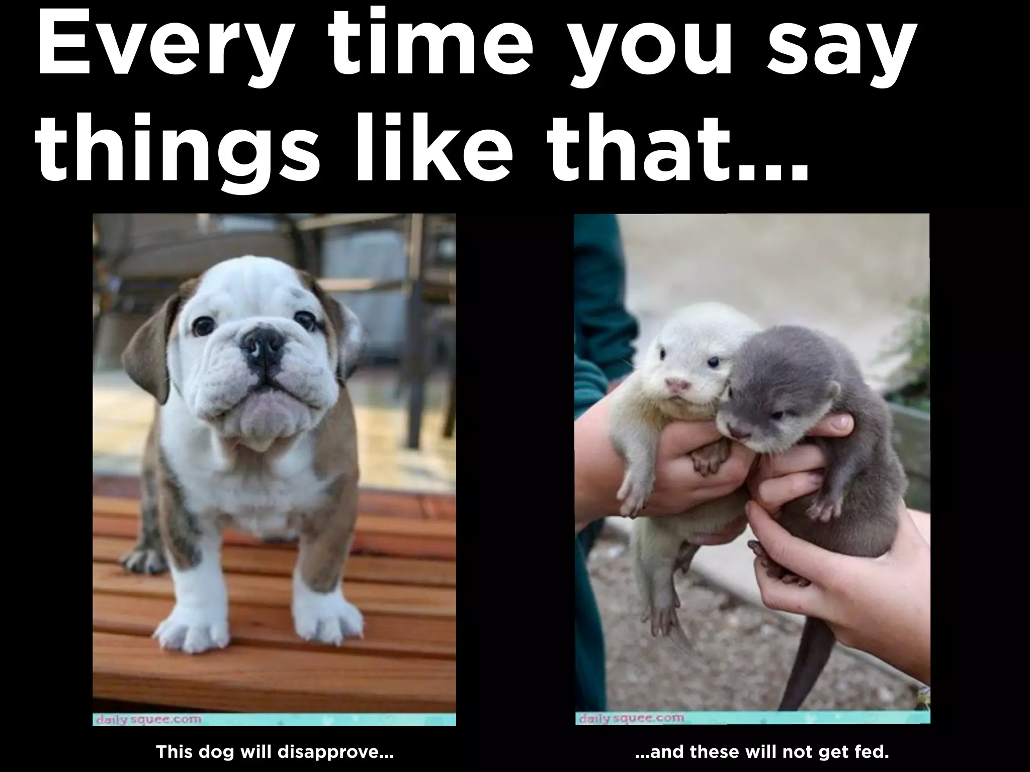 Every time you say
things like that...




  This dog will disapprove...   ...and these will not get fed.
 