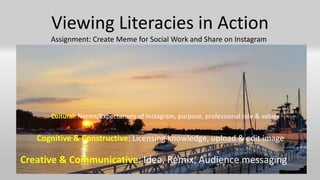 Viewing Literacies in Action
Assignment: Create Meme for Social Work and Share on Instagram
Cultural: Norms/Expectations of Instagram, purpose, professional role & values
Cognitive & Constructive: Licensing knowledge, upload & edit image
Creative & Communicative: Idea, Remix, Audience messaging
 