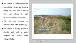 • Rill erosion is common in bare
agricultural land, particularly
overgrazed land, and in freshly
tilled soil where the soil
structure has been loosened.
• The rills can usually be
removed with farm machinery.
• Rill erosion is mostly occurs in
alluvial soil and is quite
frequent in Chambal river
valley in India.
JNKVV- College of Agriculture, Powarkheda 20
 