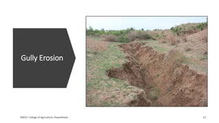 Gully Erosion
 