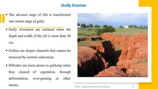 ▪ The advance stage of rills is transformed
into initial stage of gully.
▪ Gully formation are initiated when the
depth and width of the rill is more than 50
cm.
▪ Gullies are deeper channels that cannot be
removed by normal cultivation.
▪ Hillsides are more prone to gullying when
they cleared of vegetation, through
deforestation, over-grazing or other
means. JNKVV- College of Agriculture, Powarkheda 22
Gully Erosion
 
