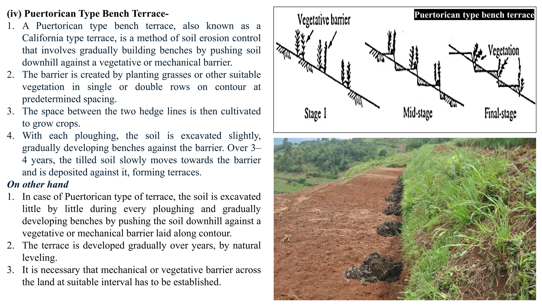 (iv) Puertorican Type Bench Terrace-
1. A Puertorican type bench terrace, also known as a
California type terrace, is a method of soil erosion control
that involves gradually building benches by pushing soil
downhill against a vegetative or mechanical barrier.
2. The barrier is created by planting grasses or other suitable
vegetation in single or double rows on contour at
predetermined spacing.
3. The space between the two hedge lines is then cultivated
to grow crops.
4. With each ploughing, the soil is excavated slightly,
gradually developing benches against the barrier. Over 3–
4 years, the tilled soil slowly moves towards the barrier
and is deposited against it, forming terraces.
On other hand
1. In case of Puertorican type of terrace, the soil is excavated
little by little during every ploughing and gradually
developing benches by pushing the soil downhill against a
vegetative or mechanical barrier laid along contour.
2. The terrace is developed gradually over years, by natural
leveling.
3. It is necessary that mechanical or vegetative barrier across
the land at suitable interval has to be established.
Puertorican type bench terrace
 