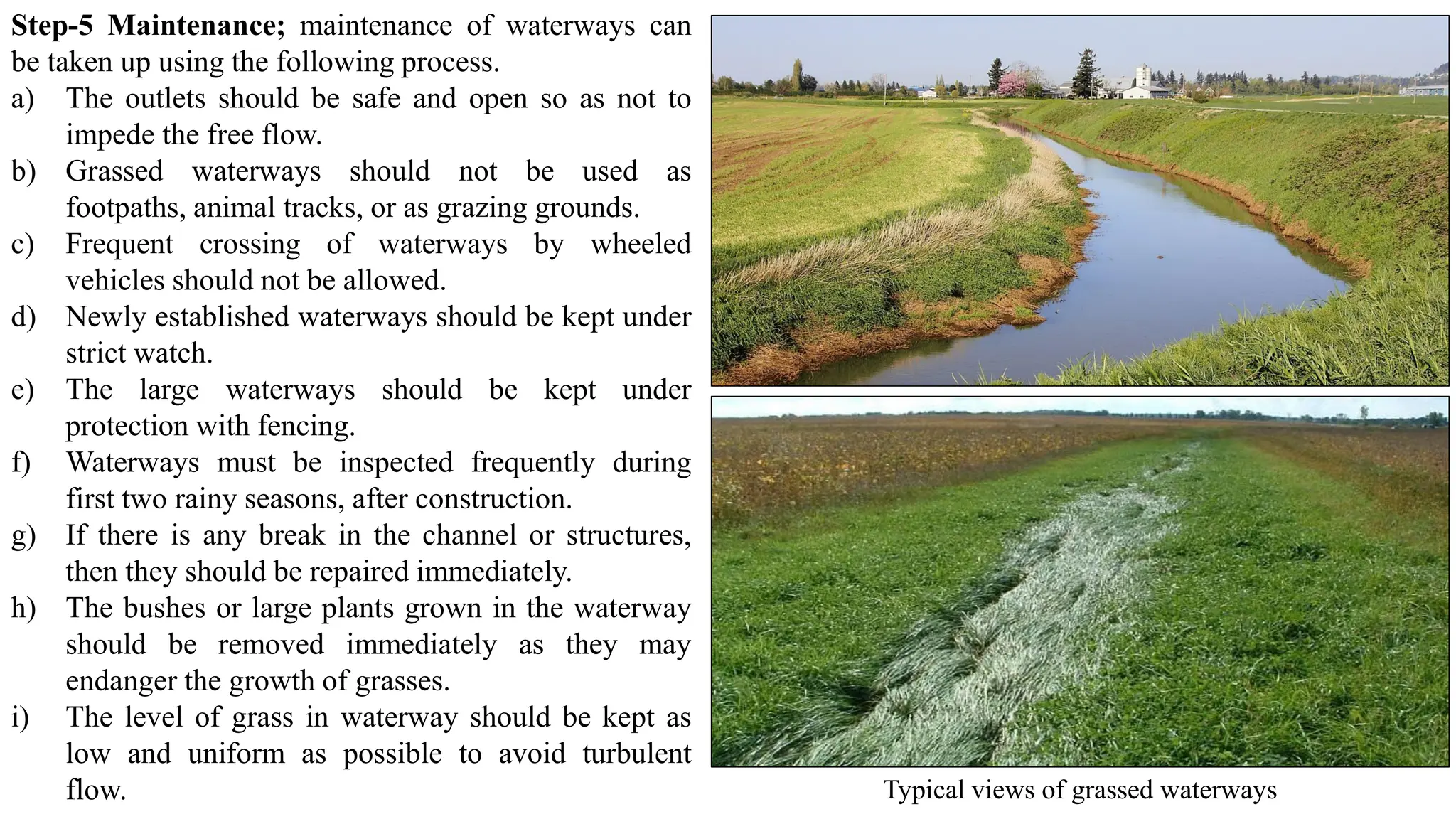 Step-5 Maintenance; maintenance of waterways can
be taken up using the following process.
a) The outlets should be safe and open so as not to
impede the free flow.
b) Grassed waterways should not be used as
footpaths, animal tracks, or as grazing grounds.
c) Frequent crossing of waterways by wheeled
vehicles should not be allowed.
d) Newly established waterways should be kept under
strict watch.
e) The large waterways should be kept under
protection with fencing.
f) Waterways must be inspected frequently during
first two rainy seasons, after construction.
g) If there is any break in the channel or structures,
then they should be repaired immediately.
h) The bushes or large plants grown in the waterway
should be removed immediately as they may
endanger the growth of grasses.
i) The level of grass in waterway should be kept as
low and uniform as possible to avoid turbulent
flow. Typical views of grassed waterways
 