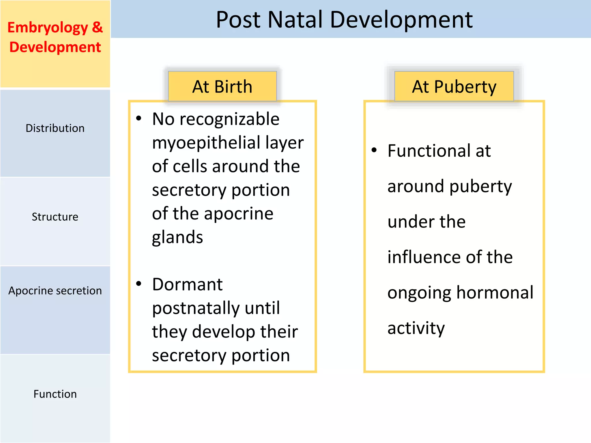 Post Natal DevelopmentEmbryology &
Development
Distribution
Structure
Apocrine secretion
Function
• No recognizable
myoepithelial layer
of cells around the
secretory portion
of the apocrine
glands
• Dormant
postnatally until
they develop their
secretory portion
• Functional at
around puberty
under the
influence of the
ongoing hormonal
activity
At Birth At Puberty
 