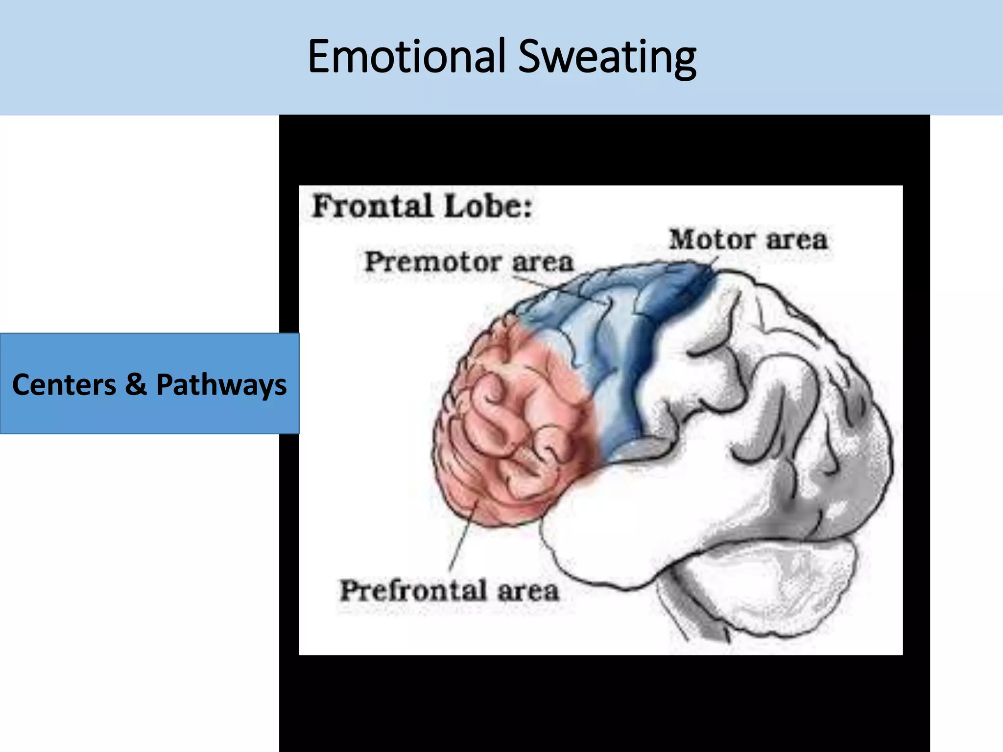 Emotional Sweating
Centers & Pathways
 