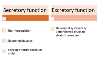 Secretory function
Thermoregulation
Electrolyte balance
Keeping stratum corneum
moist
Excretory function
Delivery of systemically
administered drugs to
stratum corneum
 