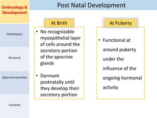 Post Natal DevelopmentEmbryology &
Development
Distribution
Structure
Apocrine secretion
Function
• No recognizable
myoepithelial layer
of cells around the
secretory portion
of the apocrine
glands
• Dormant
postnatally until
they develop their
secretory portion
• Functional at
around puberty
under the
influence of the
ongoing hormonal
activity
At Birth At Puberty
 