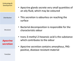 Embryology &
Development
Distribution
Structure
Apocrine
secretion
Function
• Apocrine glands secrete very small quantities of
an oily fluid, which may be coloured
• This secretion is odourless on reaching the
surface
• Bacterial decomposition is responsible for the
characteristic odour
• trans-3-methyl-2-hexanoic acid is the substance
which contributes to the odour
• Apocrine secretion contains amorphous, PAS-
positive, diastase-resistant material
 