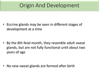 • Eccrine glands may be seen in different stages of
development at a time
• By the 8th fetal month, they resemble adult sweat
glands, but are not fully functional until about two
years of age
• No new sweat glands are formed after birth
 
