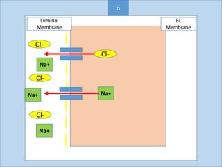 Cl-
Na+
6
 