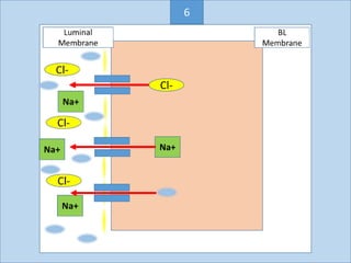 Cl-
Na+
6
 