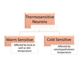 Thermosensitive
Neurons
Warm Sensitive
Affected by local as
well as skin
temperature
Cold Sensitive
Affected by
extrahypothalamic
temperature
 