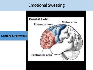 Emotional Sweating
Centers & Pathways
 
