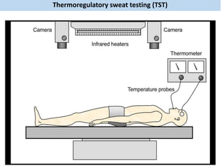 Thermoregulatory sweat testing (TST)
 