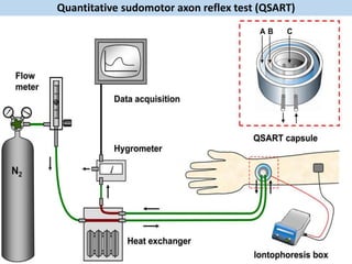 Quantitative sudomotor axon reflex test (QSART)
 