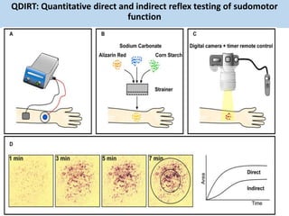QDIRT: Quantitative direct and indirect reflex testing of sudomotor
function
 