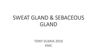 SWEAT GLAND & SEBACEOUS
GLAND
TONY SCARIA 2010
KMC
 