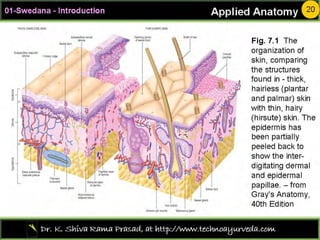 Sweda01 introduction00