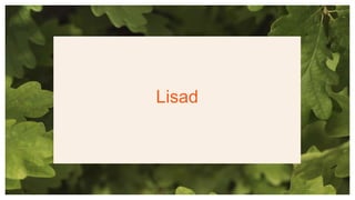 Lisad
 