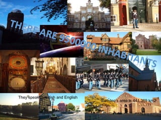 They speak Swedish and English
Sweden’s area is 441 369 km2
 