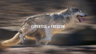 WOLF & WILHELMINE26
EXPERTISE = FREEDOM
 