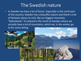 The Swedish nature
• In Sweden we have a lot of forest. Especially in the north part
of the country. Sweden has a beautiful nature and there’s a lot
of fantastic places to visit, like our biggest mountain,
“Kebnekaise”. It’s placed in the north of Sweden where we
actually have a lot of mountains, which we, in the winter, go
to for some skiiing.
 