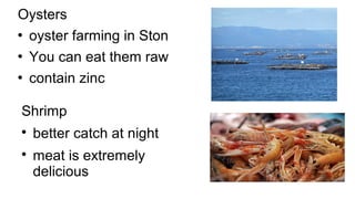 Oysters
 oyster farming in Ston
 You can eat them raw
 contain zinc
Shrimp

better catch at night

meat is extremely
delicious
 