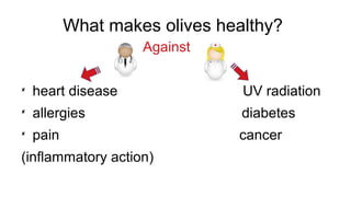 What makes olives healthy?
Against

heart disease UV radiation

allergies diabetes

pain cancer
(inflammatory action)
 