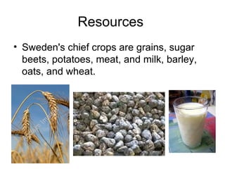 Resources  Sweden's chief crops are grains, sugar beets, potatoes, meat, and milk, barley, oats, and wheat. 
