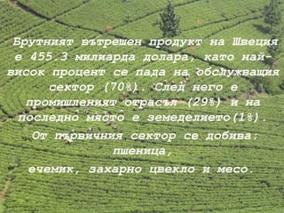 Брутният вътрешен продукт на Швеция   е 455.3 милиарда долара, като най-висок процент се пада на обслужващия сектор (70%). След него е промишленият отрасъл (29%) и на последно място е земеделието(1%). От първичния сектор се добива: пшеница, ечемик, захарно цвекло и месо. 