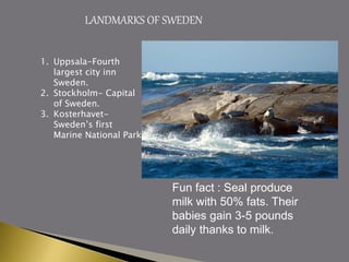 LANDMARKS OF SWEDEN
1. Uppsala-Fourth
largest city inn
Sweden.
2. Stockholm- Capital
of Sweden.
3. Kosterhavet-
Sweden’s first
Marine National Park
Fun fact : Seal produce
milk with 50% fats. Their
babies gain 3-5 pounds
daily thanks to milk.
 