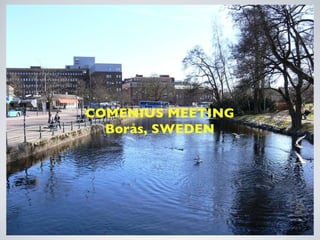 COMENIUS MEETING Borås, SWEDEN 