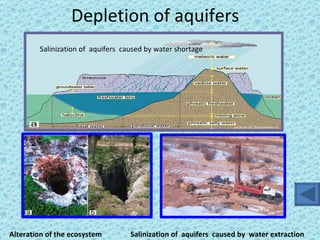 Depletion of aquifers Salinization of  aquifers  caused by water shortage  Salinization of  aquifers  caused by  water extraction Alteration of the ecosystem 