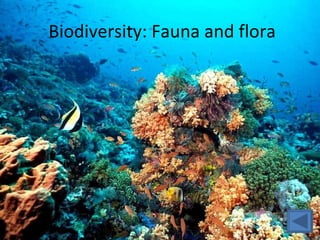 Biodiversity: Fauna and flora 