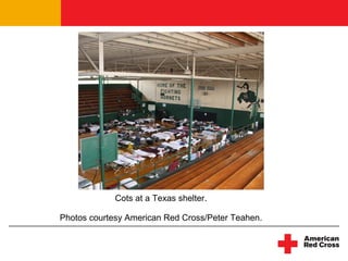 Cots at a Texas shelter. Photos courtesy American Red Cross/Peter Teahen. 
