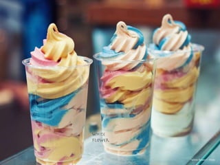 ~white flower~ - Flickr
 