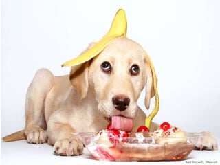 Scott Cromwell – 500px.com
 