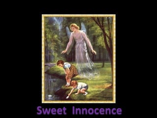 Sweet  Innocence Sweet  Innocence 