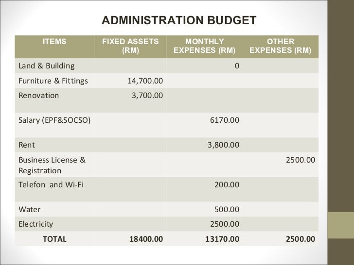 Budget in business plan