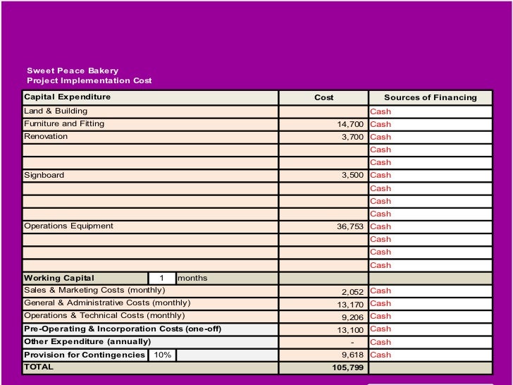 Sample Business Plan Presentation