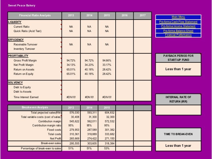 Business plan financial projections example