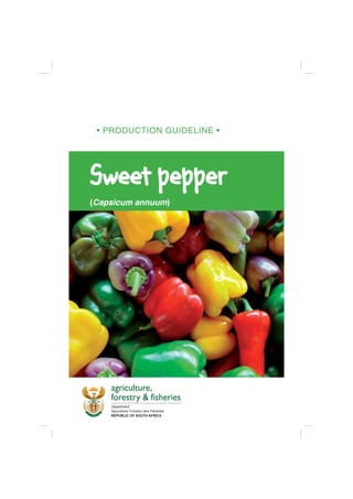 agriculture,
forestry & fisheries
Department:
Agriculture, Forestry and Fisheries
REPUBLIC OF SOUTH AFRICA
• PRODUCTION GUIDELINE •
Sweet pepperSweet pepper
(Capsicum annuum)
 