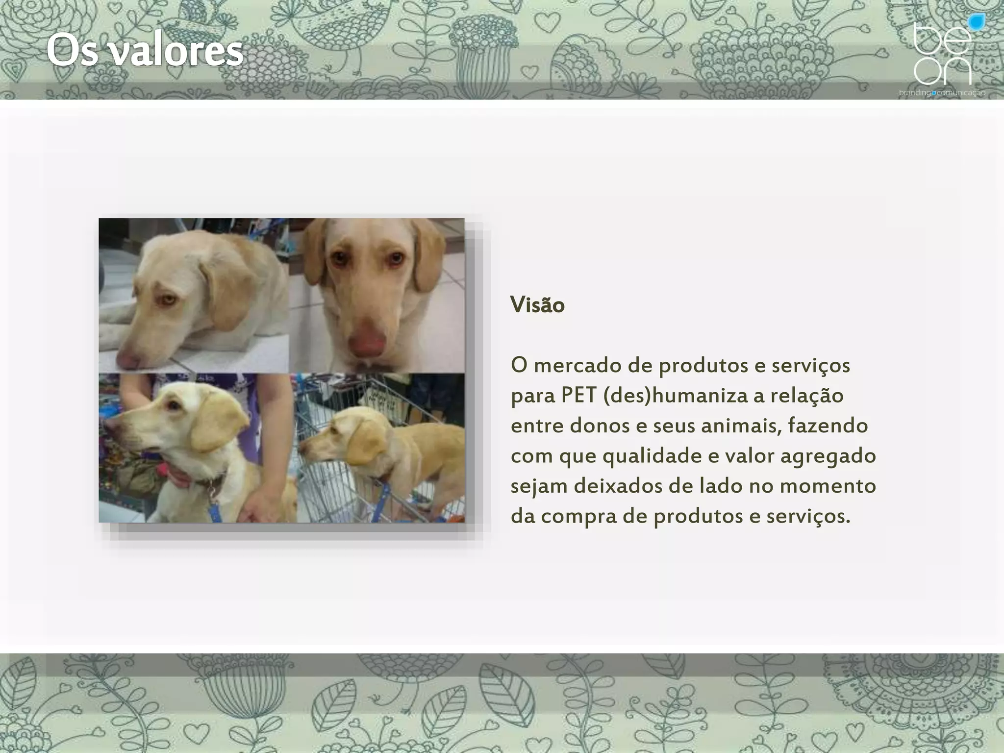 Visão
O mercado de produtos e serviços
para PET (des)humaniza a relação
entre donos e seus animais, fazendo
com que qualidade e valor agregado
sejam deixados de lado no momento
da compra de produtos e serviços.
 