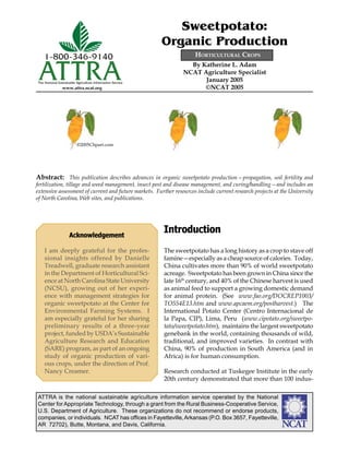 Sweetpotato:
                                                           Organic Production
    1-800-346-9140                                                    HORTICULTURAL CROPS


 ATTRA
The National Sustainable Agriculture Information Service
                www.attra.ncat.org
                                                                    By Katherine L. Adam
                                                                  NCAT Agriculture Specialist
                                                                        January 2005
                                                                        ©NCAT 2005




                         ©2005Clipart.com




Abstract: This publication describes advances in organic sweetpotato production—propagation, soil fertility and
fertilization, tillage and weed management, insect pest and disease management, and curing/handling—and includes an
extensive assessment of current and future markets. Further resources include current research projects at the University
of North Carolina, Web sites, and publications.




                    Acknowledgement
                                                           Introduction
    I am deeply grateful for the profes-                   The sweetpotato has a long history as a crop to stave off
    sional insights offered by Danielle                    famine—especially as a cheap source of calories. Today,
    Treadwell, graduate research assistant                 China cultivates more than 90% of world sweetpotato
    in the Department of Horticultural Sci-                acreage. Sweetpotato has been grown in China since the
    ence at North Carolina State University                late 16th century, and 40% of the Chinese harvest is used
    (NCSU), growing out of her experi-                     as animal feed to support a growing domestic demand
    ence with management strategies for                    for animal protein. (See www.fao.org/DOCREP1003/
    organic sweetpotato at the Center for                  TO554E13.htm and www.apcaem.org/postharvest.) The
    Environmental Farming Systems. I                       International Potato Center (Centro Internacional de
    am especially grateful for her sharing                 la Papa, CIP), Lima, Peru (www.cipotato.org/sweetpo-
    preliminary results of a three-year                    tato/sweetpotato.htm), maintains the largest sweetpotato
    project, funded by USDA’s Sustainable                  genebank in the world, containing thousands of wild,
    Agriculture Research and Education                     traditional, and improved varieties. In contrast with
    (SARE) program, as part of an ongoing                  China, 90% of production in South America (and in
    study of organic production of vari-                   Africa) is for human consumption.
    ous crops, under the direction of Prof.
    Nancy Creamer.                                         Research conducted at Tuskegee Institute in the early
                                                           20th century demonstrated that more than 100 indus-

ATTRA is the national sustainable agriculture information service operated by the National
Center for Appropriate Technology, through a grant from the Rural Business-Cooperative Service,
U.S. Department of Agriculture. These organizations do not recommend or endorse products,
companies, or individuals. NCAT has ofﬁces in Fayetteville, Arkansas (P.O. Box 3657, Fayetteville,
AR 72702), Butte, Montana, and Davis, California.                                                          ����
 