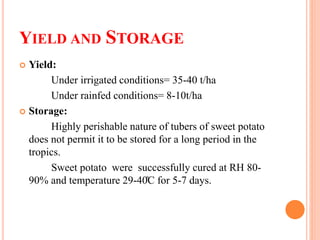 YIELD AND STORAGE
 Yield:
Under irrigated conditions= 35-40 t/ha
Under rainfed conditions= 8-10t/ha
 Storage:
Highly perishable nature of tubers of sweet potato
does not permit it to be stored for a long period in the
tropics.
Sweet potato were successfully cured at RH 80-
90% and temperature 29-40̊C for 5-7 days.
 