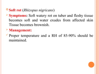  Soft rot (Rhizopus nigricans)
 Symptoms: Soft watery rot on tuber and fleshy tissue
becomes soft and water exudes from affected skin
Tissue becomes brownish.
 Management:
 Proper temperature and a RH of 85-90% should be
maintained.
 