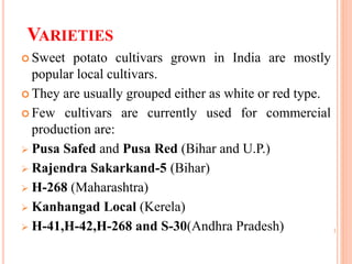 VARIETIES
 Sweet potato cultivars grown in India are mostly
popular local cultivars.
 They are usually grouped either as white or red type.
 Few cultivars are currently used for commercial
production are:
 Pusa Safed and Pusa Red (Bihar and U.P.)
 Rajendra Sakarkand-5 (Bihar)
 H-268 (Maharashtra)
 Kanhangad Local (Kerela)
 H-41,H-42,H-268 and S-30(Andhra Pradesh)
 