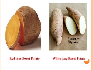 Red type Sweet Potato White type Sweet Potato
 