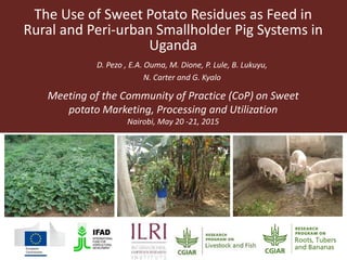 The Use of Sweet Potato Residues as Feed in
Rural and Peri-urban Smallholder Pig Systems in
Uganda
D. Pezo , E.A. Ouma, M. Dione, P. Lule, B. Lukuyu,
N. Carter and G. Kyalo
Meeting of the Community of Practice (CoP) on Sweet
potato Marketing, Processing and Utilization
Nairobi, May 20 -21, 2015
 